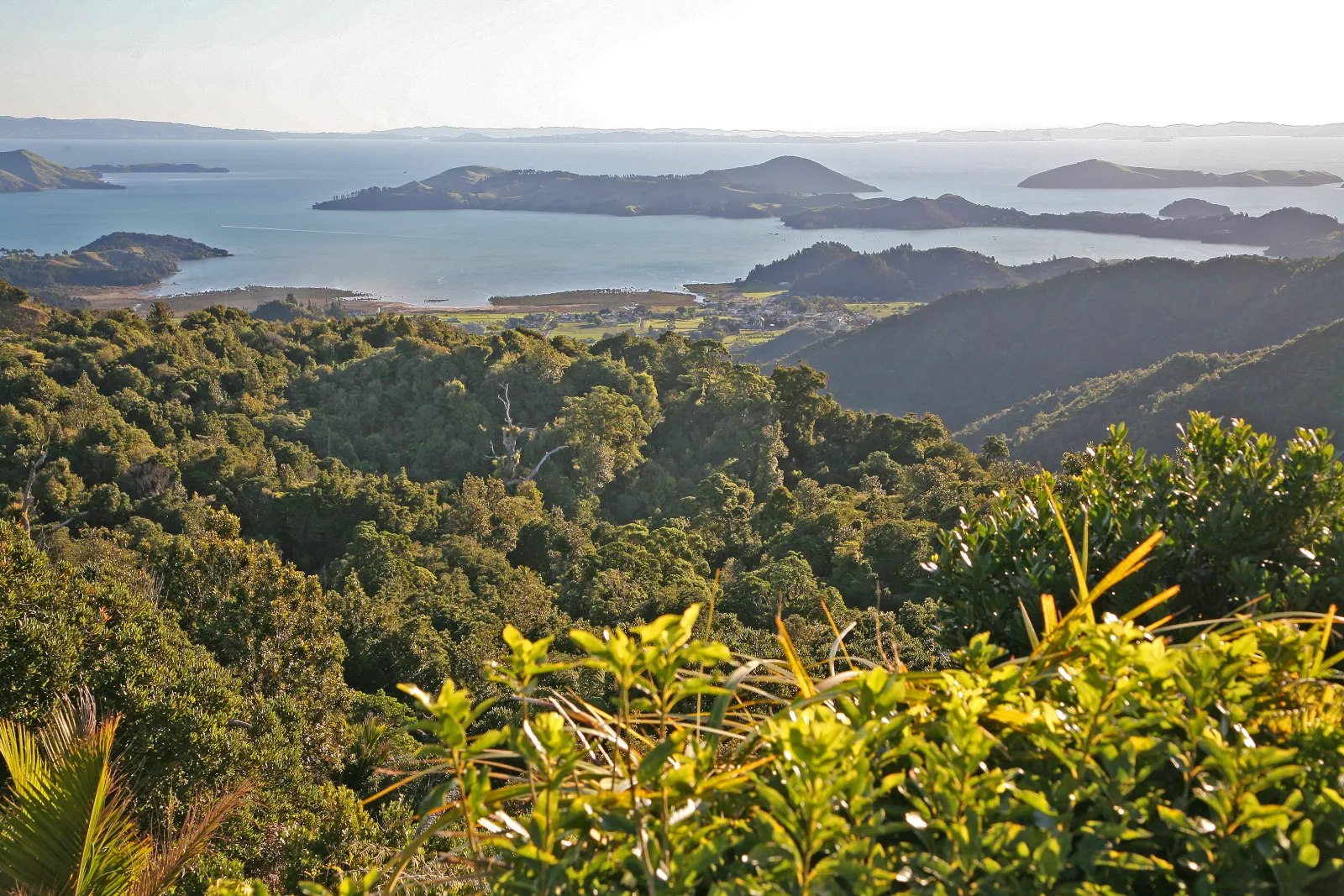 Aerial view of the Coromandel Peninsula coastline with green hills meeting white-sand bays