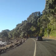 Winding coastal section of State Highway 25 hugging the Coromandel Peninsula shoreline in New Zealand
