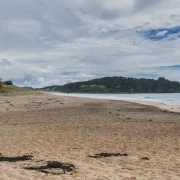 People digging hot pools at low tide on Hot Water Beach, Coromandel Peninsula