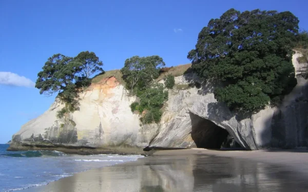 Rugged Coromandel Peninsula coastline under changeable New Zealand weather