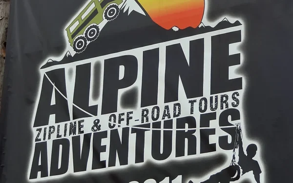 A person ziplining through a forest canopy on a flying fox, similar to the Coromandel canopy tour