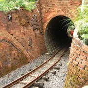 Narrow-gauge Driving Creek Railway train climbing through native bush above Coromandel Town