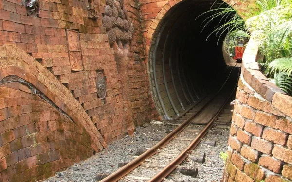 Narrow-gauge Driving Creek Railway train climbing through native bush above Coromandel Town