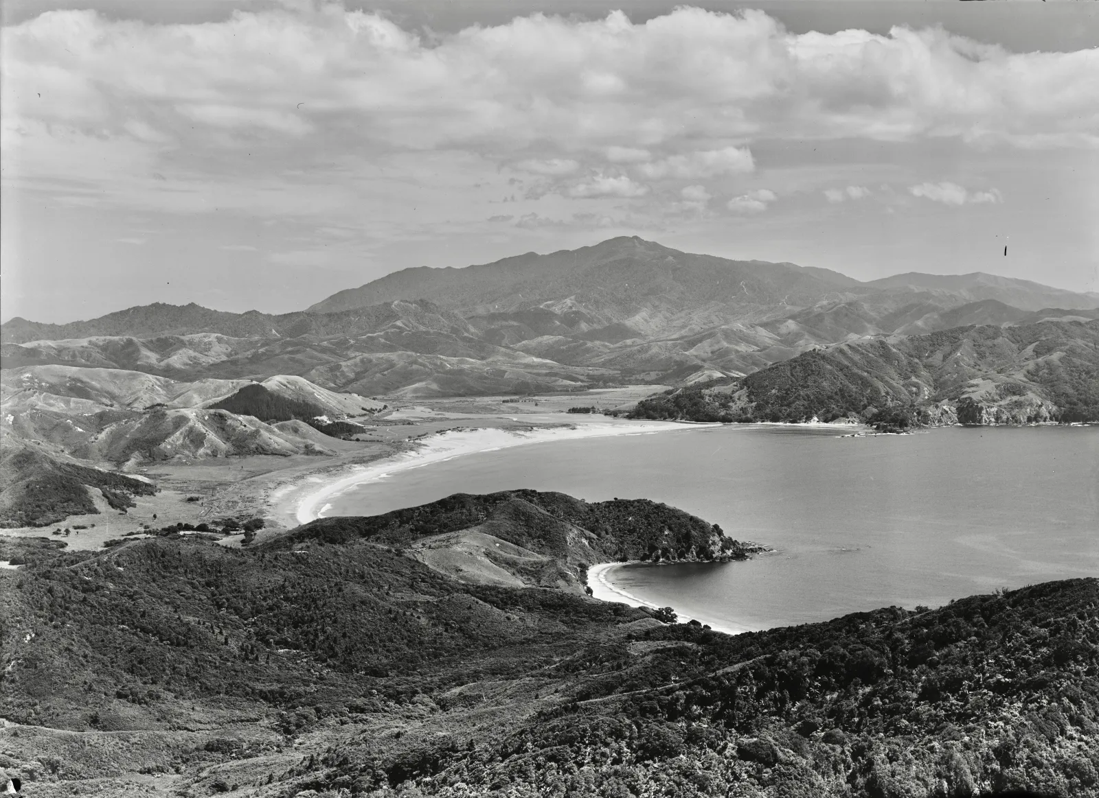 The long white-sand surf beach of Waikawau Bay next to Little Bay, northern Coromandel
