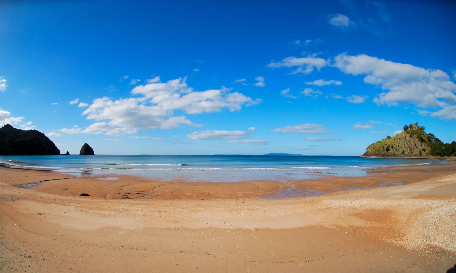Undeveloped golden sand and bush at New Chums Beach near Whangapoua, Coromandel