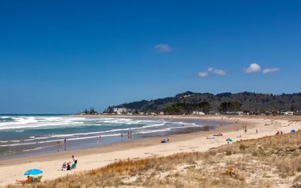 Wide sandy Whangamata surf beach on the Coromandel Peninsula, a popular dog-walking spot