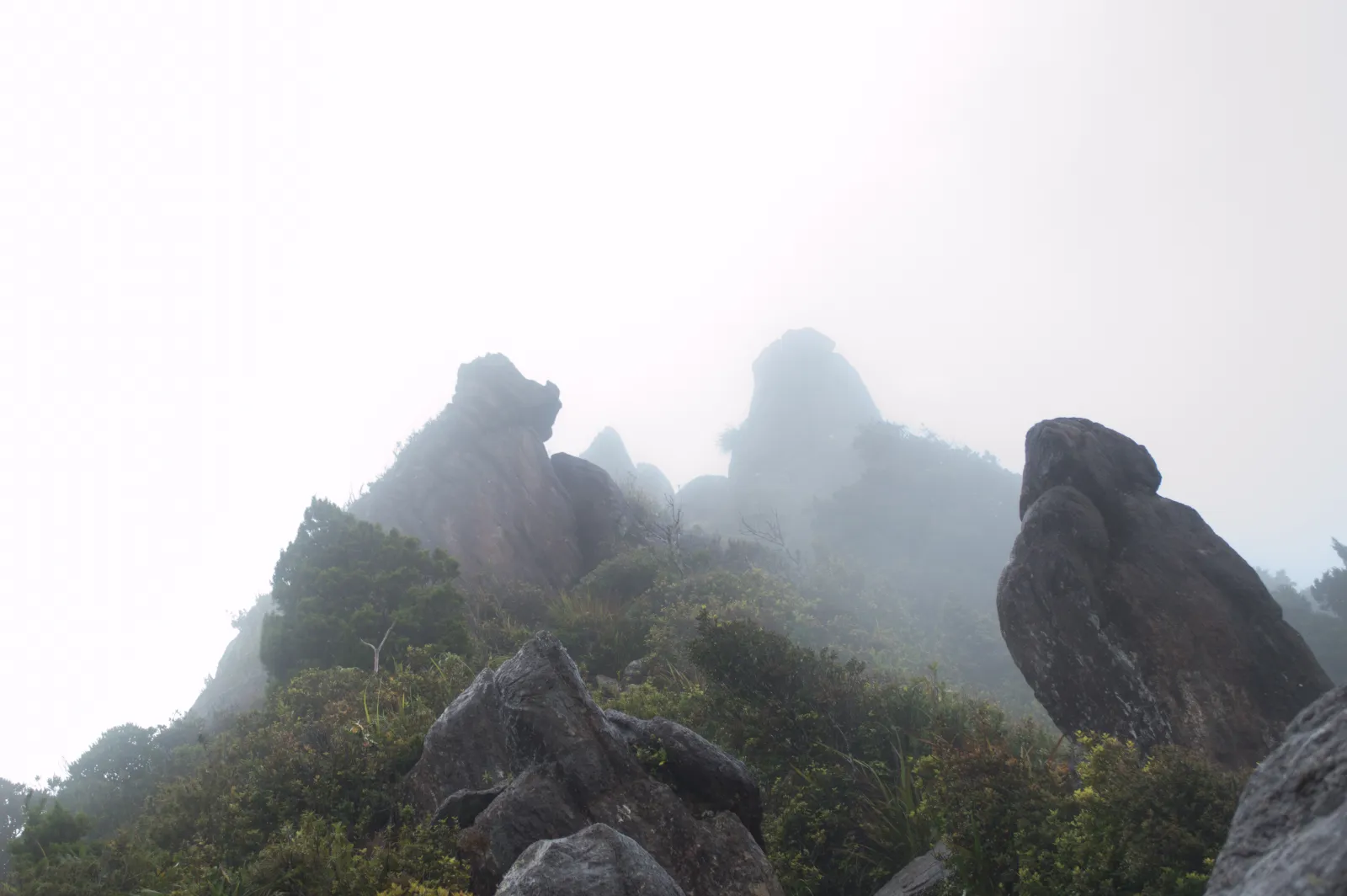 Weathered rock spires of the Pinnacles above the Kauaeranga Valley, Coromandel