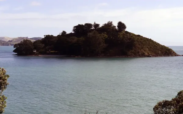 coromandel-town-hauraki-gulf