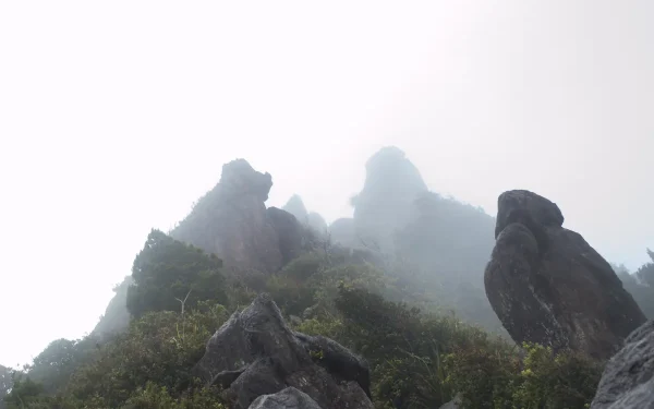 pinnacles-coromandel-forest-park