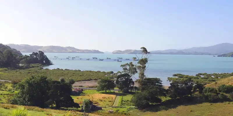 Coromandel Harbour with boats and surrounding hills