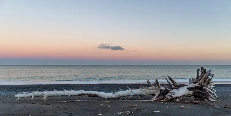 Driftwood on the beach with ocean waves at sunset
