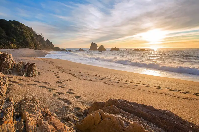 Monro Beach with native bush and crashing waves