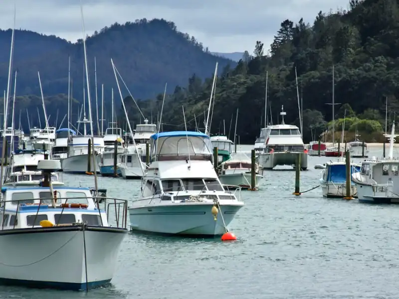 Boats resting in Whangamata Harbour at low tide